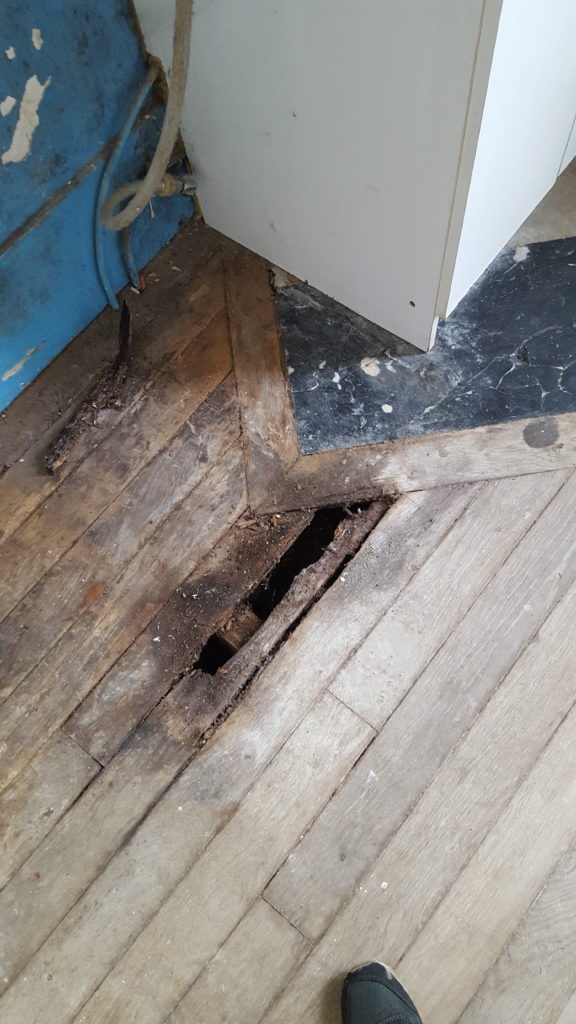 Maison meulière à rénover - Parquet pourri à cause d'un ancien dégat des eaux