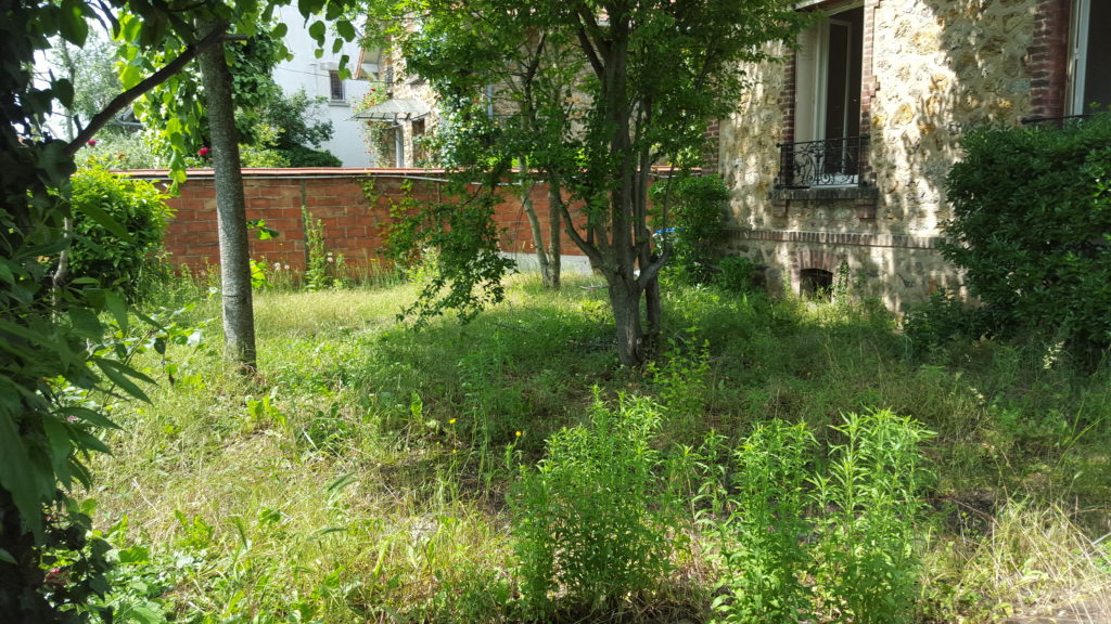 Journal rénovation maison meulière - le jardin en friche